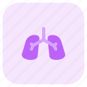 respiratory, hospital, healthcare, department, facility 