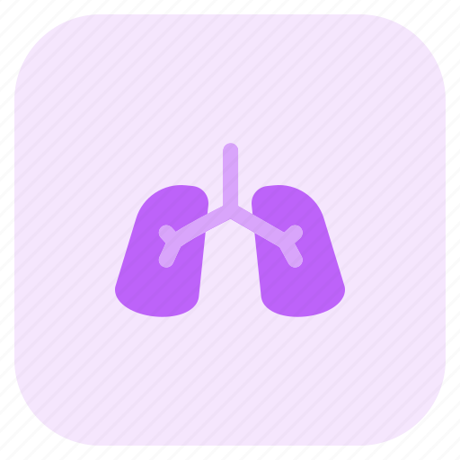 Respiratory, hospital, healthcare, department, facility icon - Download on Iconfinder