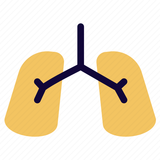 Respiratory, pulmonologist, lungs, department, healthcare, facility, hospital icon - Download on Iconfinder