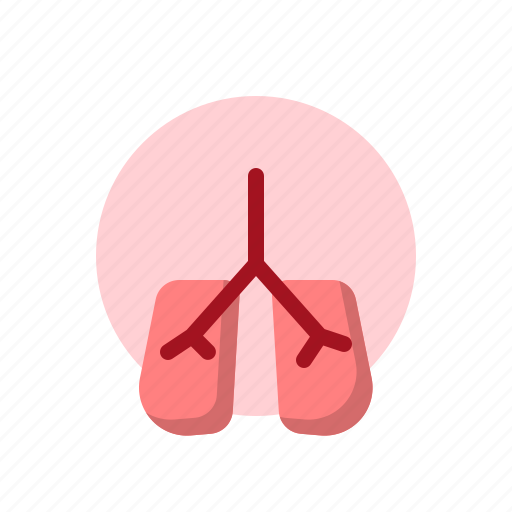 Clinic, healthcare, hospital, lung, medical, organ icon - Download on Iconfinder