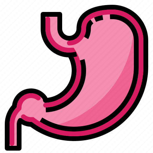 Ache, body, health, medical, pain, stomach icon - Download on Iconfinder