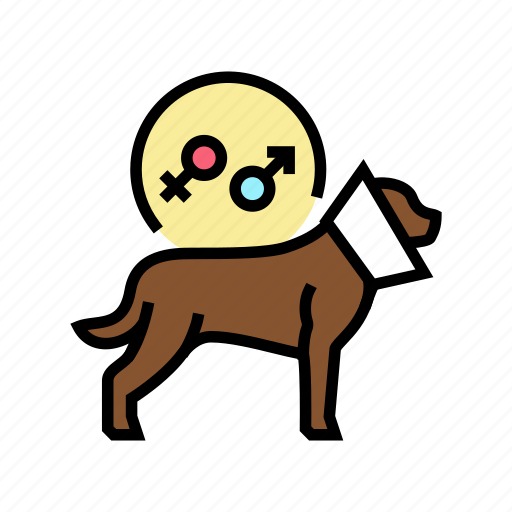 Spaying, neutering, pet, hospital, health, examination icon - Download on Iconfinder