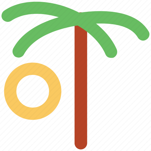 Arecaceae, date palm, date tree, desert, palm, palm tree icon - Download on Iconfinder
