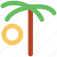 arecaceae, date palm, date tree, desert, palm, palm tree 