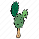 cactus, green, house, ice cream, plant, posicle, succulent 