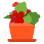 flower, house, pot, plant, red 