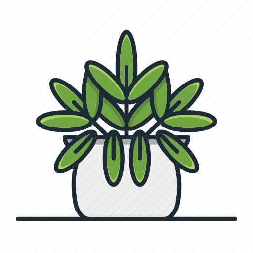 Star, fern, plant, houseplant, decorative, garden, nature icon - Download on Iconfinder