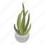 cactus, cartoon, floral, flower, hand, isometric, pot 