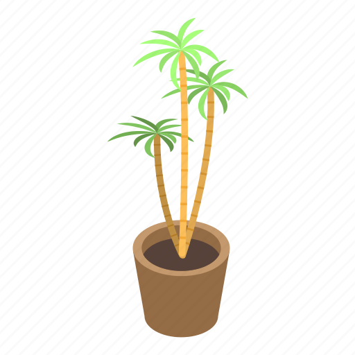 Beach, cartoon, houseplant, isometric, palm, summer, tree icon - Download on Iconfinder