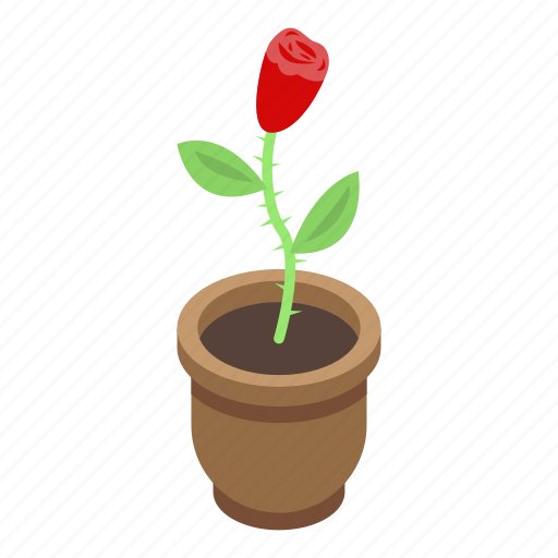 Business, cartoon, floral, flower, houseplant, isometric, rose icon - Download on Iconfinder