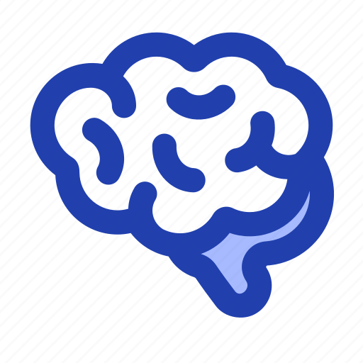 Brain, organ, nerve, anatomy icon - Download on Iconfinder