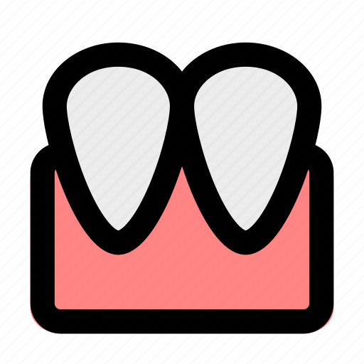 Incisor, teeth, human, anatomy icon - Download on Iconfinder