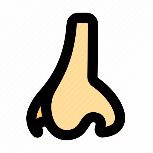 Nose, smelling, human, anatomy icon - Download on Iconfinder