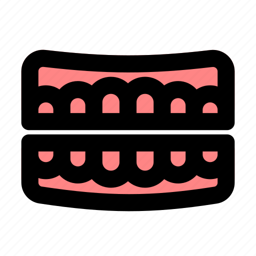 Tooth, teeth, human, anatomy icon - Download on Iconfinder