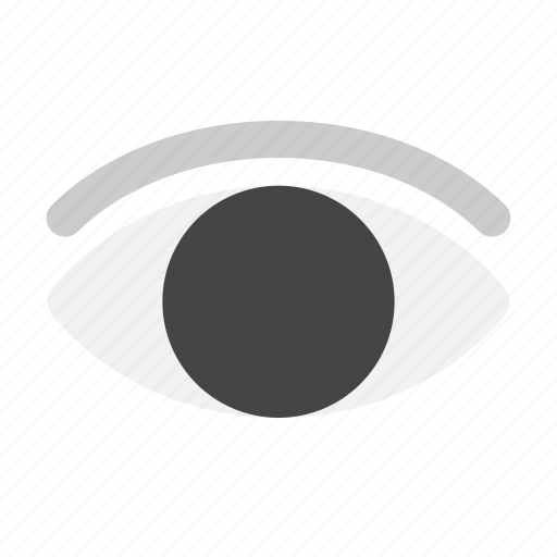 Eye, see, human, anatomy icon - Download on Iconfinder