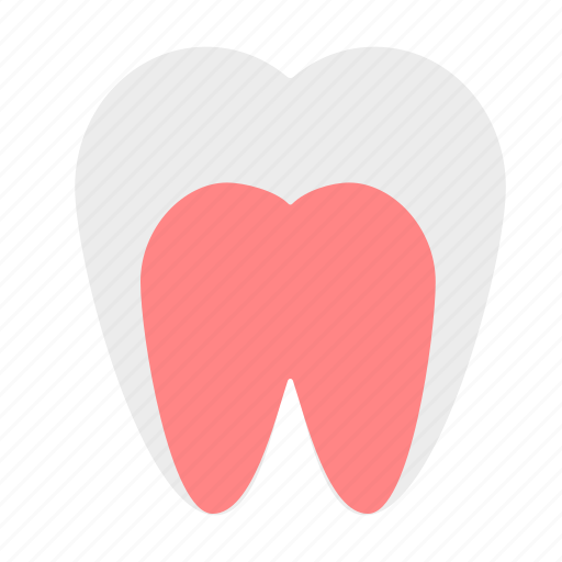 Molar, tooth, human, anatomy icon - Download on Iconfinder