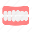 tooth, teeth, human, anatomy 