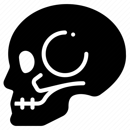 Skull, skeleton, scary, anatomy, bone, part, body icon - Download on Iconfinder