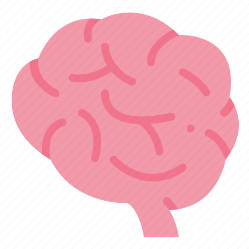 Brain, body, idea, intelligence, internal, mind, organ icon - Download on Iconfinder