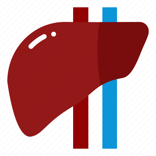 Liver, anatomy, organ, medical, body, part, health icon - Download on Iconfinder