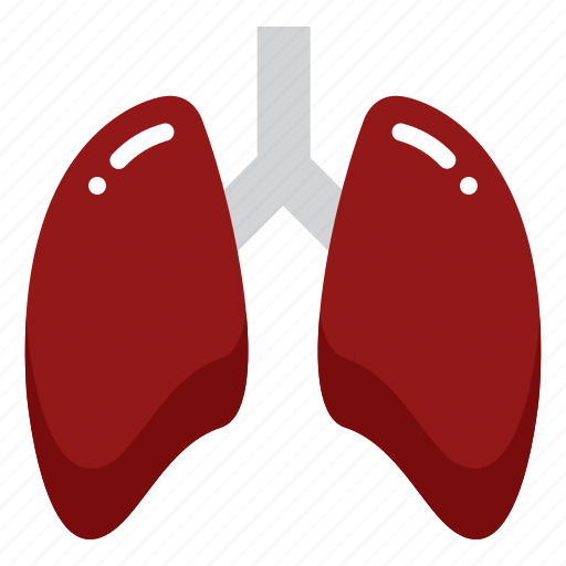Lung, lungs, breath, healthcare, medical, anatomy, organ icon - Download on Iconfinder