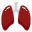 lung, lungs, breath, healthcare, medical, anatomy, organ 
