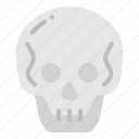 skull, scary, skeleton, anatomy, bone, part, body
