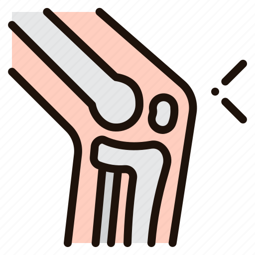 Knee, joint, anatomy, orthopedic, internal, organ, bones icon - Download on Iconfinder