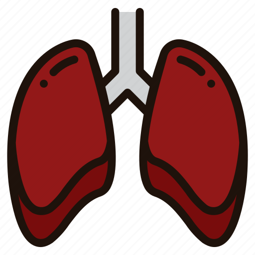 Lung, lungs, breath, healthcare, medical, anatomy, organ icon - Download on Iconfinder