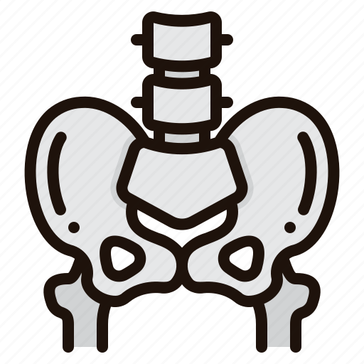 Pelvis, bone, bones, pelvic, area, human, body icon - Download on Iconfinder