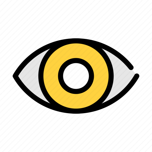 Eye, view, eyeball, retina, organ icon - Download on Iconfinder