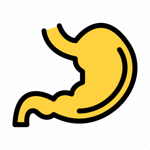 Stomach, digestive, human, body, organ icon - Download on Iconfinder