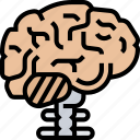 brain, neurology, intelligence, human, biology