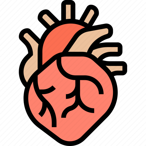 Heart, artery, aorta, cardiac, human icon - Download on Iconfinder