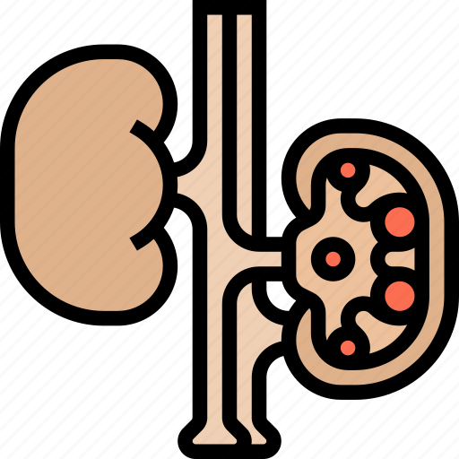 Kidneys, renal, urinary, transplant, surgery icon - Download on Iconfinder