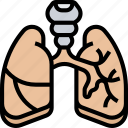 lungs, bronchial, respiratory, pulmonary, body