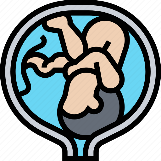 Placenta, pregnancy, embryo, human, development icon - Download on Iconfinder