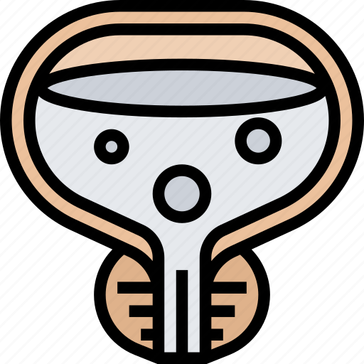 Urinary, bladder, urine, anatomy, health icon - Download on Iconfinder