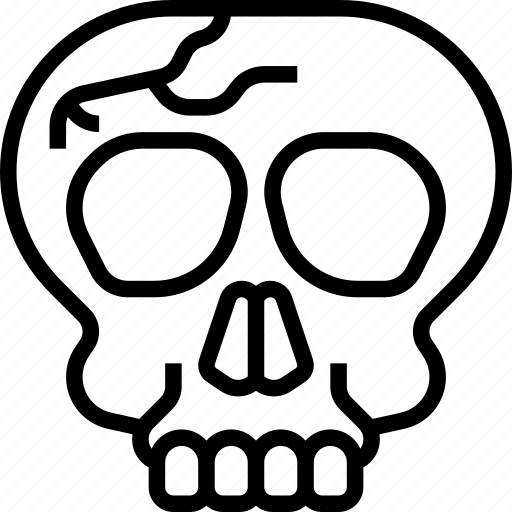 Skull, head, anatomy, human, medical icon - Download on Iconfinder