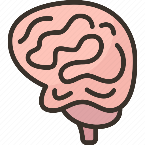 Brain, neurology, head, human, intelligence icon - Download on Iconfinder