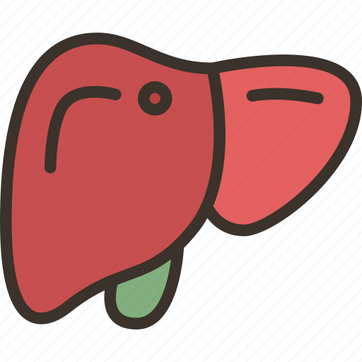 Liver, hepatic, metabolism, digestion, organ icon - Download on Iconfinder