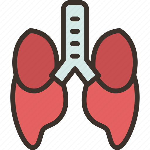 Lungs, bronchus, trachea, respiratory, breath icon - Download on Iconfinder