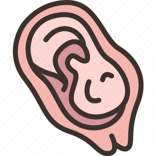 Placenta, womb, fetus, pregnant, gynecology icon - Download on Iconfinder
