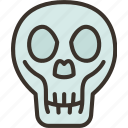 skull, head, human, anatomy, death