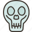 skull, head, human, anatomy, death 