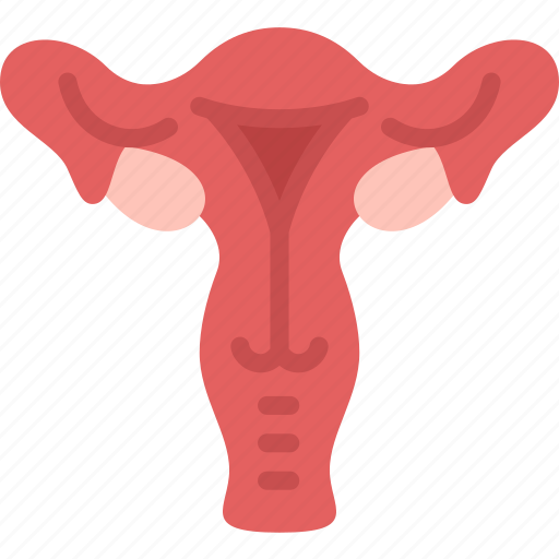 Reproductive, female, cervix, ovarian, gynecology icon - Download on Iconfinder