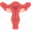 reproductive, female, cervix, ovarian, gynecology 