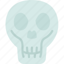 skull, head, human, anatomy, death