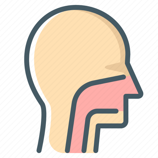 Face, otolaryngology, throat icon - Download on Iconfinder