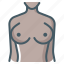 female, boobs, breast 